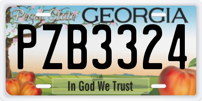 GA license plate PZB3324