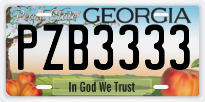 GA license plate PZB3333