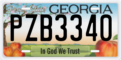 GA license plate PZB3340