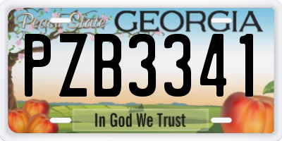 GA license plate PZB3341
