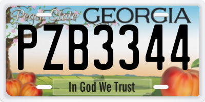 GA license plate PZB3344