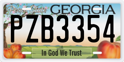 GA license plate PZB3354