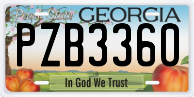 GA license plate PZB3360