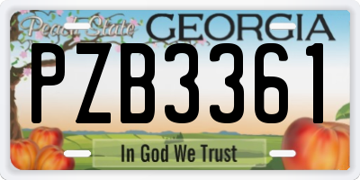 GA license plate PZB3361
