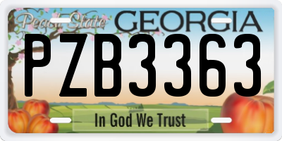 GA license plate PZB3363