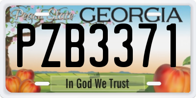 GA license plate PZB3371
