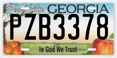 GA license plate PZB3378