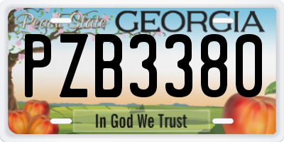 GA license plate PZB3380