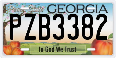 GA license plate PZB3382