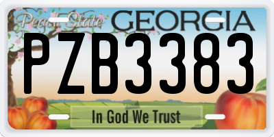 GA license plate PZB3383