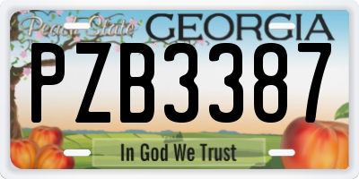 GA license plate PZB3387