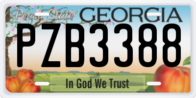 GA license plate PZB3388