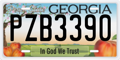 GA license plate PZB3390