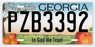 GA license plate PZB3392