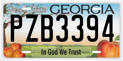 GA license plate PZB3394
