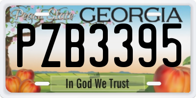 GA license plate PZB3395