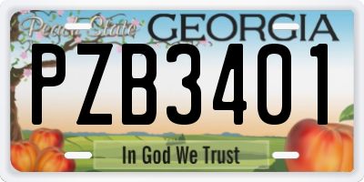 GA license plate PZB3401
