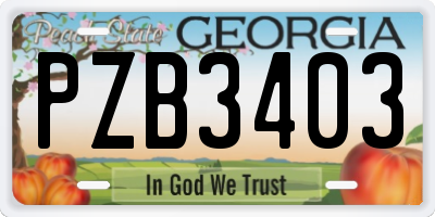 GA license plate PZB3403