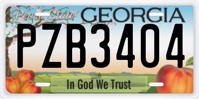 GA license plate PZB3404