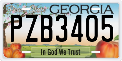 GA license plate PZB3405