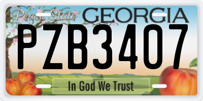 GA license plate PZB3407