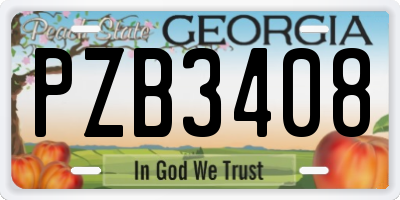 GA license plate PZB3408