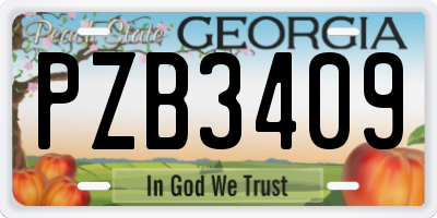GA license plate PZB3409