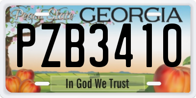 GA license plate PZB3410