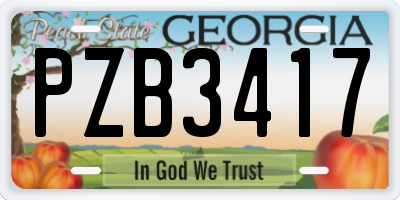 GA license plate PZB3417