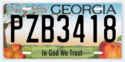 GA license plate PZB3418