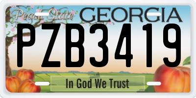 GA license plate PZB3419
