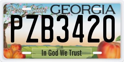 GA license plate PZB3420