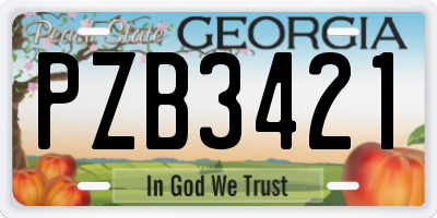 GA license plate PZB3421