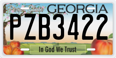 GA license plate PZB3422
