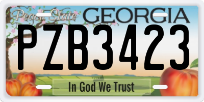 GA license plate PZB3423
