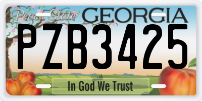 GA license plate PZB3425