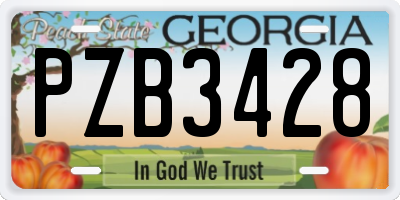 GA license plate PZB3428