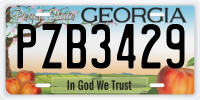 GA license plate PZB3429