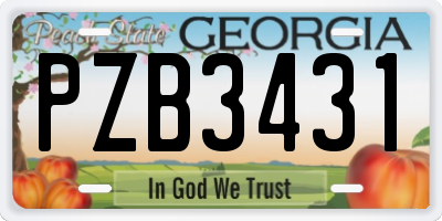 GA license plate PZB3431