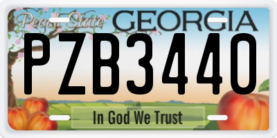 GA license plate PZB3440