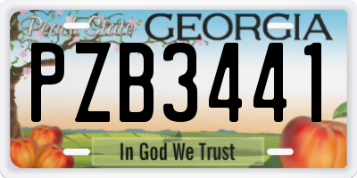 GA license plate PZB3441