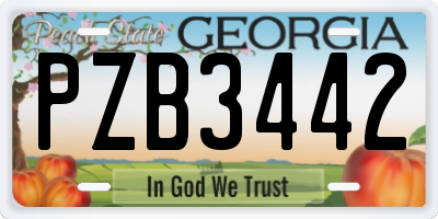 GA license plate PZB3442