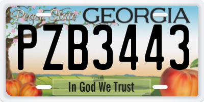 GA license plate PZB3443