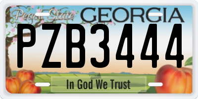 GA license plate PZB3444