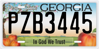 GA license plate PZB3445