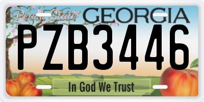 GA license plate PZB3446