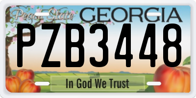 GA license plate PZB3448