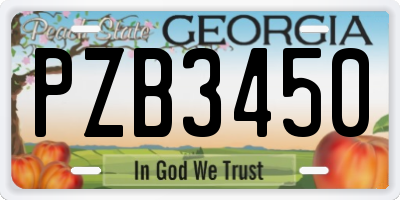 GA license plate PZB3450