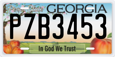 GA license plate PZB3453