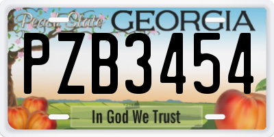 GA license plate PZB3454